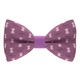 Бабочка Bow Tie House фиолетовая с собачками 08339 - изображение 1