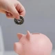 Сувенирная монета 12 Знаков зодиака - изображение 11