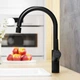 Смеситель для кухни Damixa Eclipse с двухрежимным аэратором black DX310722300 - изображение 3