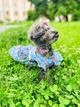 Сукня для собак WowPaw Прованс S - изображение 7
