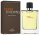 Туалетна вода для чоловіків Hermes Terre D'Hermes Edt 100 мл (3346130009603) - зображення 1