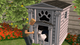 Игра Sony PlayStation 2 The Sims 2: Pets Europe Английская Версия Б/У - изображение 5