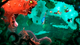 Гра Sony PlayStation Vita Rayman Origins Англійська Версія Б/У - зображення 2