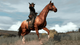 Гра Nintendo Switch Red Dead Redemption Remastered Російські Субтитри Б/У - зображення 6