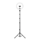 Тримач з кільцевим освітленням JOYROOM Touch Selfie Ring Light JR-ZS228 AKL01 |10", 2A, 2700-5700K - изображение 1