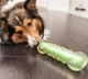 Іграшка для собак Petstages Crunchcore Хрумка кістка, прозоро-зелена, велика, 16 см - зображення 4