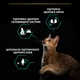 Сухий корм для дорослих котів після стерилізації Purina Pro Plan Sterilised Adult 1+ Renal Plus з індичкою 1.5 кг (7613033566592) - зображення 6