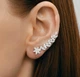Сережки зі срібла 925 з фіанітами (АРТ. №6018) Dadiverin Jewelry - зображення 1