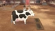Ключ активации STORY OF SEASONS: A Wonderful Life для Xbox Series S/X - зображення 5