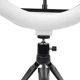 Кільцева лампа 26 см Ring Fill Light з триногою кільцевою лампою для селфі лампа для тик струму (1012-1) - зображення 10