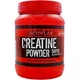 Креатин моногидрат ActivLab Creatine Powder Super 500 г 83 servings Black Currant - изображение 1