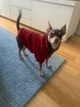 Кофта Капюшон р.S Бордо - изображение 2