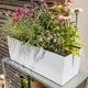 Умный вазон Lechuza Balconera Stone 50 Песочно-бежевый (15651) - изображение 7