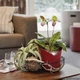 Умный вазон Lechuza Orchidea 20 Белый (13960) - изображение 7