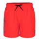 Шорты пляжные Hot Tuna Tuna Mens Swim Short S Красный 35363808 - изображение 1