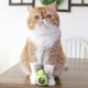 Игрушка для кошек Petstages Lil' Avocato Dental Health Cat Chew Toy Авокадо, с кошачьей мятой, зеленая - изображение 2