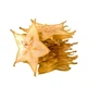 Карамболовые чипсы Parovoz Chips 25г НФ-00000048 - изображение 1
