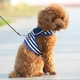 Костюм для собак в морском стиле Sea Style Blue M (65901726) - изображение 4