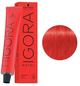 Farba do włosów Schwarzkopf Igora Royal 0-88 60ml (4045787198973) - obraz 1