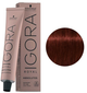 Farba do włosów Schwarzkopf Igora Royal Absolutes 5-80 Jasnobrązowy czerwony naturalny 60ml (4045787278804) - obraz 1