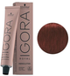 Farba do włosów Schwarzkopf Igora Royal Absolutes 6-80 Ciemny blond rudy naturalny 60ml (4045787279344) - obraz 1