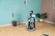 Візок для прибирання Smoby з ручним пилососом Ровента та аксесуарами (7600330319) - зображення 17