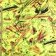 Коттон желтый неоновый, черные лодки, ш.150 (18479.008) - изображение 3