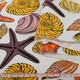 Деко коттон раковины разноцветные, морские звезды, белый, ш.150 (20405.145) - изображение 2