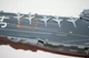 Сборная модель авианосца USS Oriskany Revell 85-0318 - изображение 3