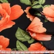 Поплін чорний, червоно-помаранчеві маки, ш.150 (14020.020) - зображення 2