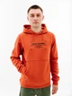 Мужское Худи HELLY HANSEN MOVE SWEAT HOODIE Оранжевый XL (7d53701-308 XL) - изображение 1