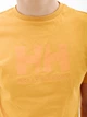 Мужская Футболка HELLY HANSEN HH LOGO T-SHIRT Оранжевый L (7d33979-364 L) - изображение 3