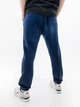 Мужские Штаны Arena ICONS PANT Синий L (7d005607-700 L) - изображение 2