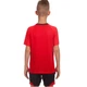 Форма футбольная детская Zelart Lingo 5022T размер 30 рост 140-145см Red-Black - изображение 2
