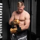 Боксерські рукавиці Phantom APEX Elastic Gold 12 унцій (капа в подарунок) - изображение 8