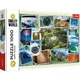 Пазлы Trefl Smile World Веселые фотографии 1000 эл (10726) - изображение 1