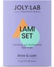 Система для ламинирования бровей и ресниц Joly:Lab 3 шт х 2 мл (4823109407718) - изображение 2