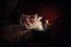 Ночник LEDVANCE NIGHTLUX TOUCH LED 2.5W Rabbit USB RGBW (4058075602113) - изображение 9