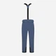 Горнолыжные брюки мужские Dare 2b Achieve II Pant DMW486R-ZV7 M Синие (5059404836215) - изображение 4