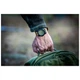 Годинник тактичний 5.11 Tactical PATHFINDER WATCH Kangaroo (56623-134) - зображення 6