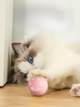 Мячик шарик для кошек, котов, USB smart игрушка со световой индикацией, хаотичным движением, звездочка, rose - изображение 7
