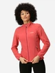Толстовка на флисе Regatta Floreo IV RWA528-J9W M Розовая (5063019241876) - изображение 1