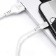 Кабель SkyDolphin S61TB USB - USB Type-C (M/M), 2 м, White (SDUSB-000447) - изображение 2