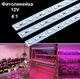 Світлодіодна фітолінійка smd 5730 72led / m 12V IP20 10вт (4червоних + 1синій) PREMIUM - зображення 1