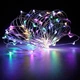 Гирлянда роса 100 LED 10 м RGB RD-9024 + контроллер (9024RDGRLNDC27) (9024RDGRLNDC27) CLS55 - изображение 1