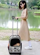 Сумка-перенос для собак и кошек Aibert 44x34х28 см до 10 кг. - изображение 4