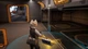 Ключ активации Rogue Company: ViVi Starter Pack для Xbox One/Series S/X - изображение 4