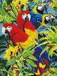 Алмазна мозаїка ColorArt 30х40см Папуги ST434 - изображение 2