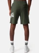 Шорты хлопковые короткие мужские Lonsdale Polbathic 114084-5050 XL Зеленые (4251522393804) - изображение 2