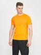 Футболка JOMA desert short sleeve t-shirt orange M (101739.880) - изображение 3